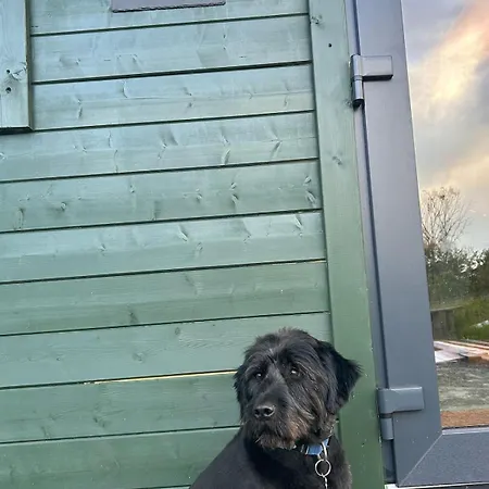 Tobys Chalet Laragh